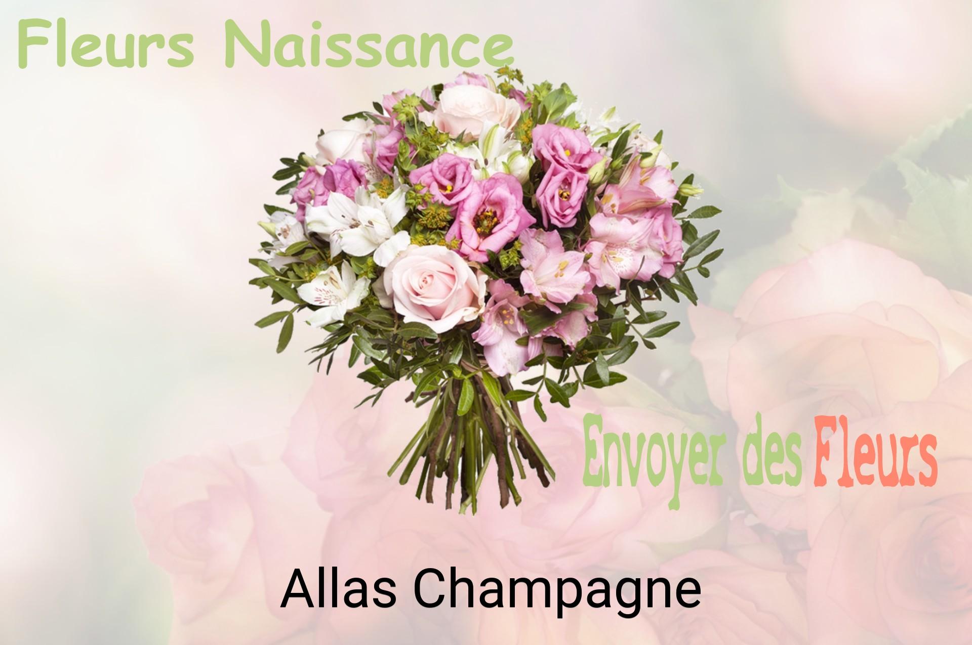Bouquet de fleurs de naissance livré à Allas-Champagne