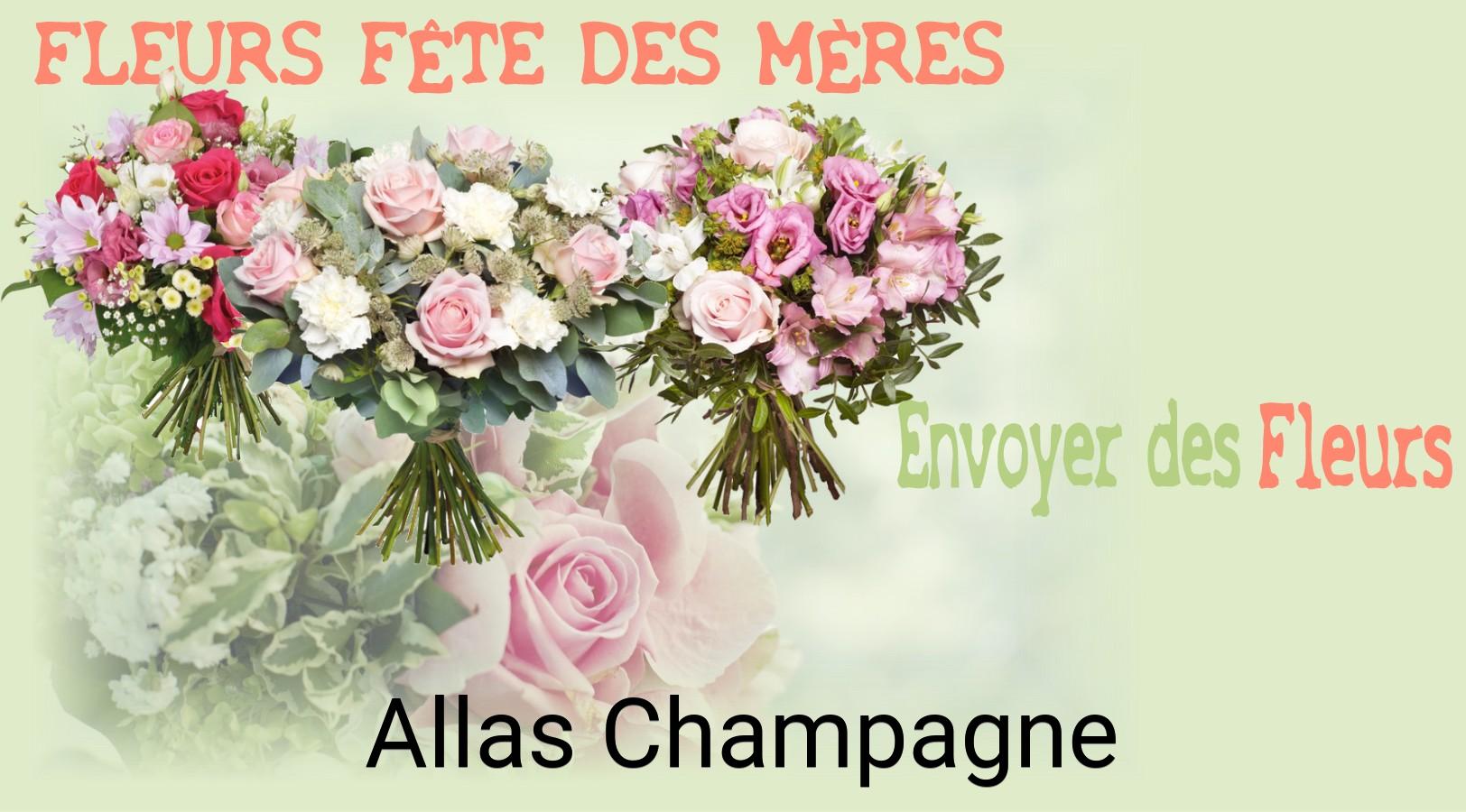 Bouquet de Fête des Mères livré à Allas-Champagne
